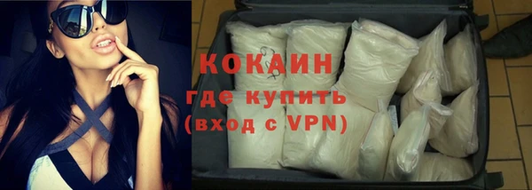 шишки Осинники