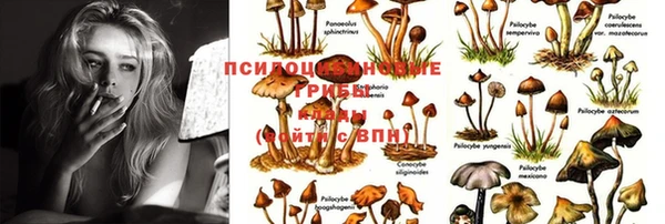 герыч Осташков