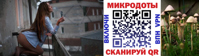 Псилоцибиновые грибы мицелий  где продают наркотики  Елец 