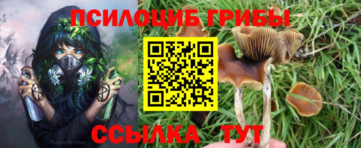 Галлюциногенные грибы мухоморы  Вход с VPN  Елец 
