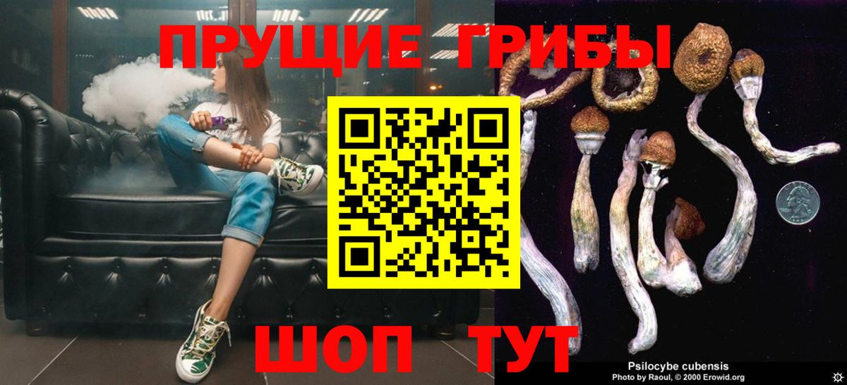 Галлюциногенные грибы ЛСД Елец